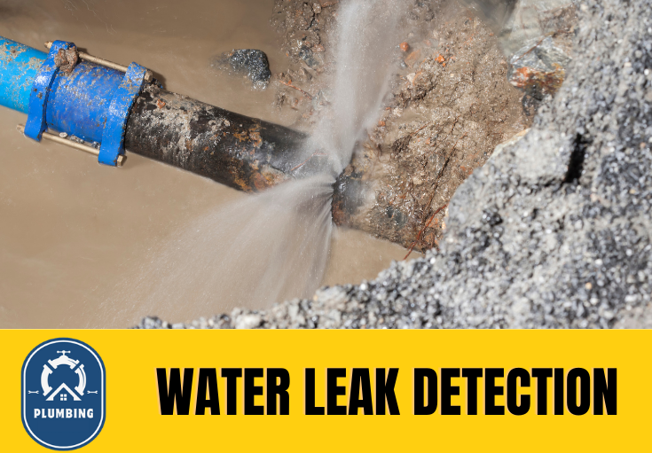 leak detection Harrietsham