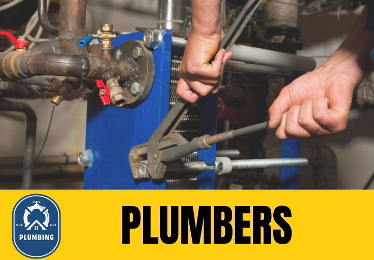  plumber Ulcombe